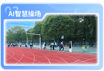 应用场景 APPLICATION SCENE